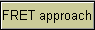 FRET approach